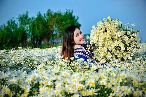 Mẹo trị mụn hiệu quả bất ngờ bằng hoa cúc