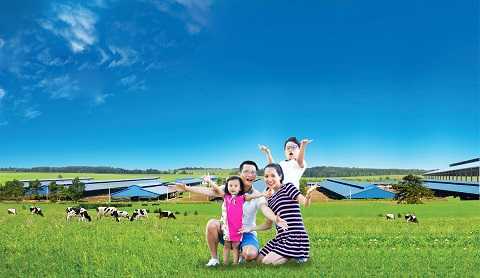 Kế hoạch đưa bé thăm bò sữa hè này