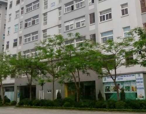 Bắt khẩn cấp người mẹ dùng dao nhọn giết con đẻ 4 tháng tuổi