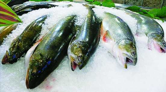 Cách dùng thực phẩm đông lạnh sao cho an toàn