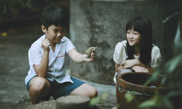 Trailer 'Tôi thấy hoa vàng trên cỏ xanh' đang lan truyền trên mạng chỉ là bản nháp
