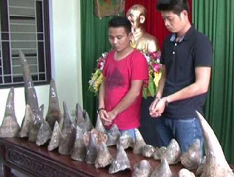 Chuyển 37 kg sừng tê giác giá 22 tỷ đồng cho '1 người lạ'
