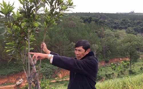 Vì sao vua mắc ca Lâm Đồng rơi vào bế tắc?