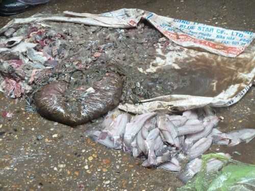 Xác minh thông tin cá ươn chợ đầu mối Dịch Vọng