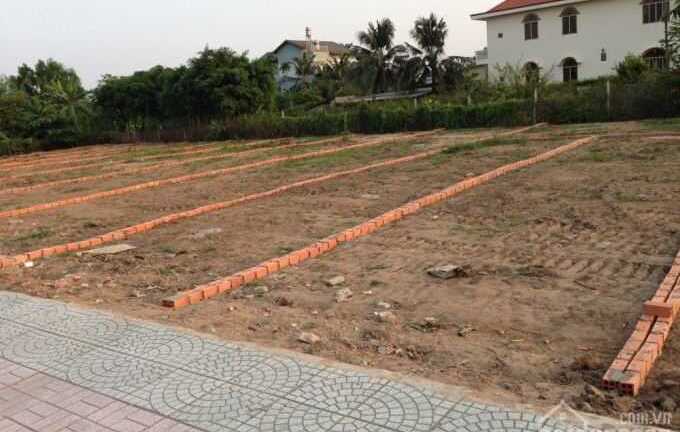 Khách hàng lùng mua dự án đất nền được tự xây