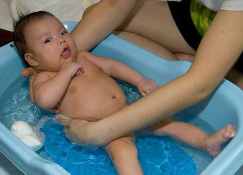 Các loại lá tắm chữa rôm sảy cực hiệu quả cho bé