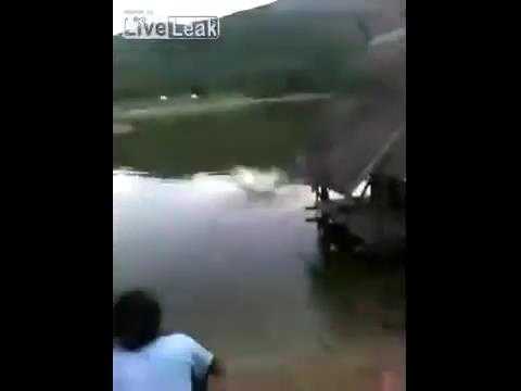 Phẫn nộ đám thanh niên ném mèo xuống nước như ném đá