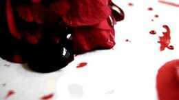 Thai phụ cùng chồng chết bí ẩn ở Nghệ An