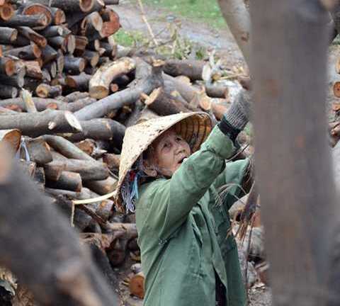 Những 'bóng hồng' bán sức làm việc của 'cánh mày râu' giữa Sài Gòn