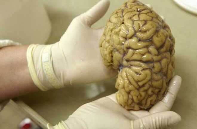 Bí mật rợn người của bộ lạc ăn thịt người ở Papua New Guinea