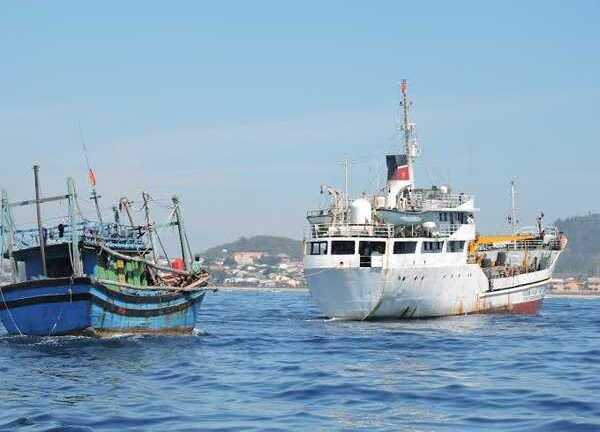 Tàu cá ngư dân Quảng Nam bị đâm thủng trên vùng biển Hoàng Sa, 4 người thương vong
