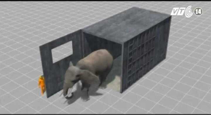 Clip: Voi rạp xiếc xổng chuồng, giết chết người