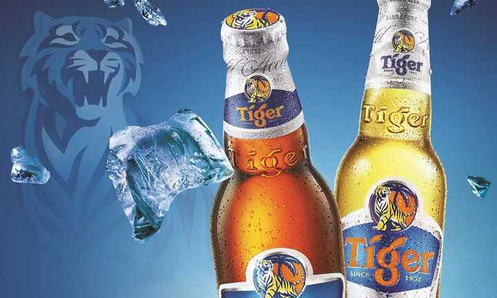 'Tiger Uncage Night' đánh thức bản lĩnh giới trẻ miền Bắc