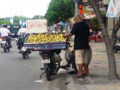 Đội lốt đào Sa Pa, đào Trung Quốc 'tung hoành' ở Tp.HCM