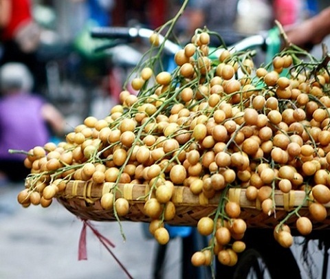 Công dụng tuyệt vời của quất hồng bì chữa ho, giải cảm