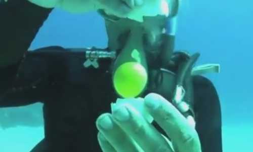 Clip: Đập quả trứng dưới đáy biển và cái kết bất ngờ