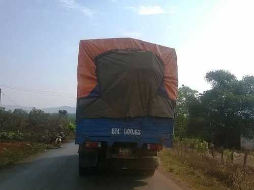 Tịch thu gỗ sai luật, Chủ tịch tỉnh Tiền Giang thua kiện