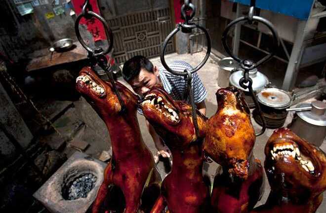 Trung Quốc giết hàng nghìn con chó lấy thịt trong lễ hội gây phẫn nộ