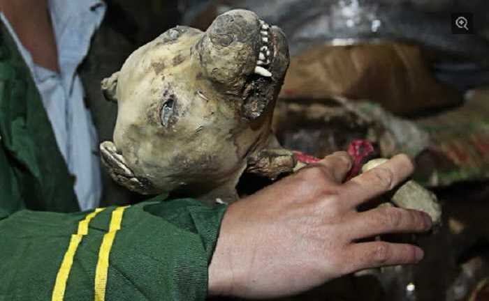 Trung Quốc rúng động vụ thịt đông lạnh quá hạn 40 năm