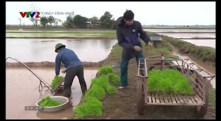 Nông dân Thái Bình chế tạo thành công máy cấy lúa không động cơ