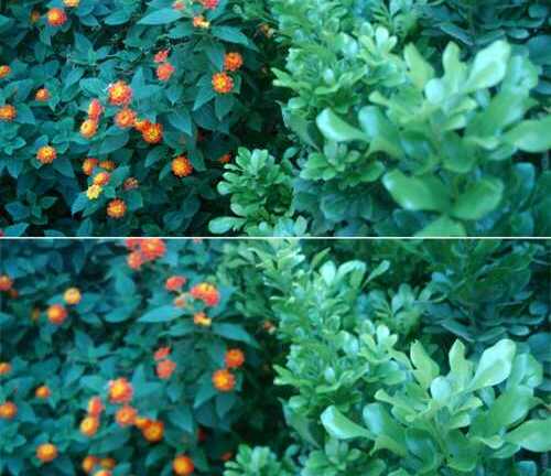 Camera trên Bphone còn nhiều lỗi