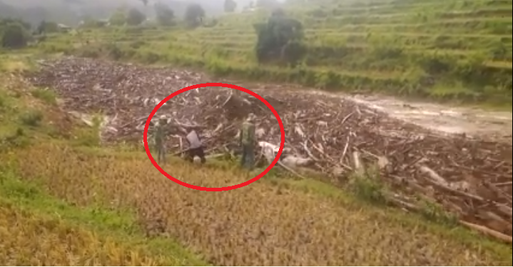 Clip: Dân Sơn La giỡn mặt với lũ quét kinh hoàng để lấy gỗ