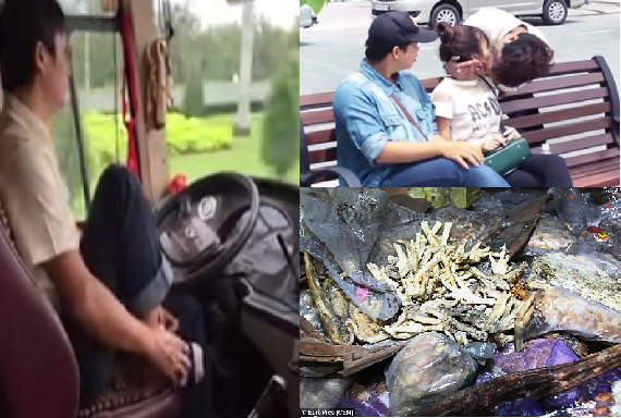 Video: Những tin tức ấn tượng nhất tuần qua