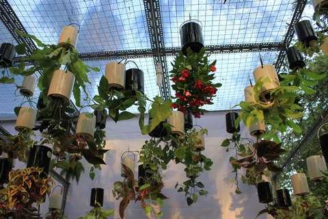 Ấn tượng vườn treo ngược