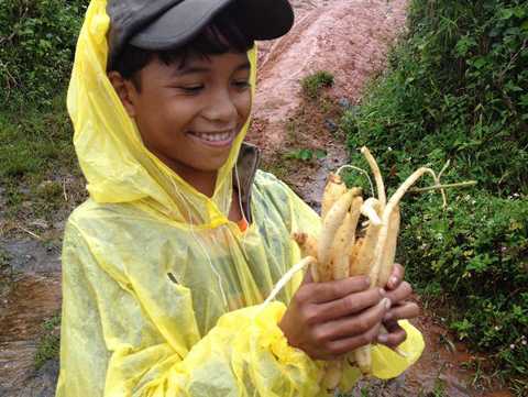 Chuyện thú vị ở thung lũng sâm đắng