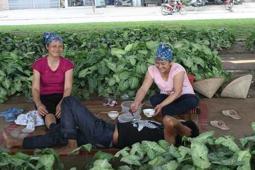 Người Hà Nội quay cuồng trong 'chảo rang' gần 50 độ C, sợ hãi không dám về nhà