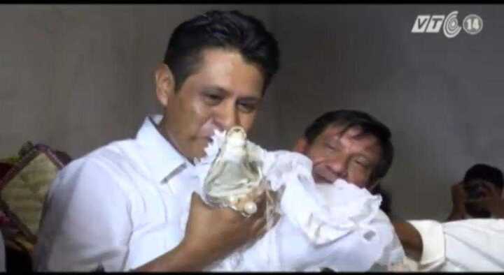 Mexico: Thị trưởng kết hôn với cá sấu