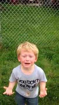 Phản ứng của em bé khi dẫm phải 'bom' chó