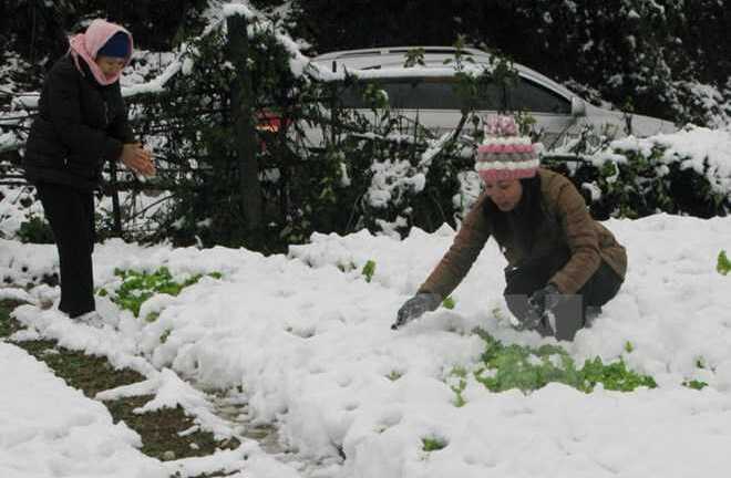 Rét bất thường ở Sa Pa: 'Sẽ có những hiện tượng cực đoạn, dị thường'