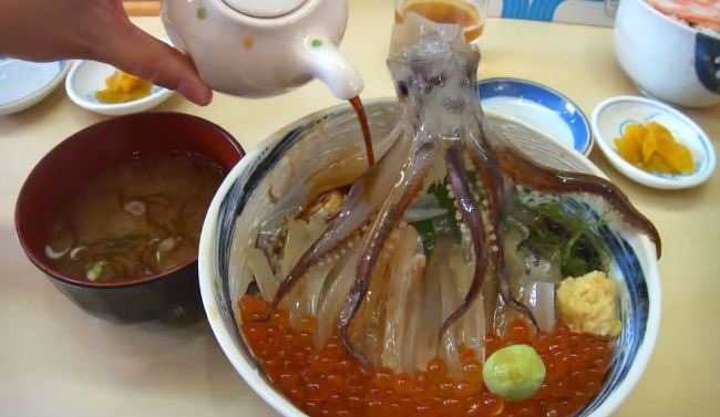 Video: Cận cảnh món mực ‘nhảy múa’ trên bàn ăn ở Nhật Bản