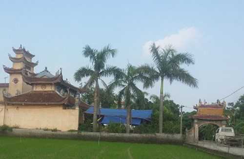 Sư trụ trì tử vong cạnh lá thư tuyệt mệnh: Nghiện ma tuý, nợ chồng chất