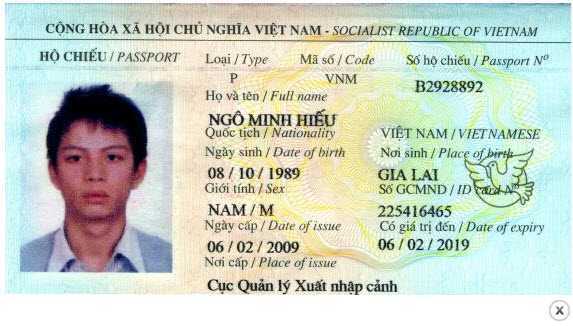 Ăn cắp dữ liệu, hacker Việt bị Mỹ kết án 13 năm tù