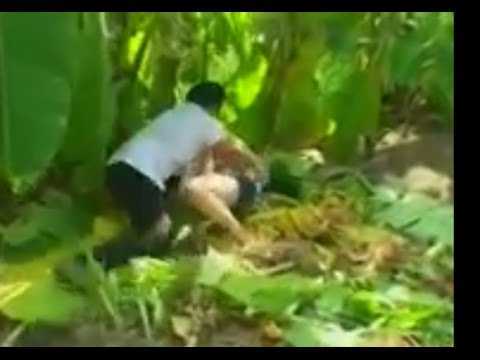 Đưa con riêng của vợ vào rừng hãm hại tới có thai