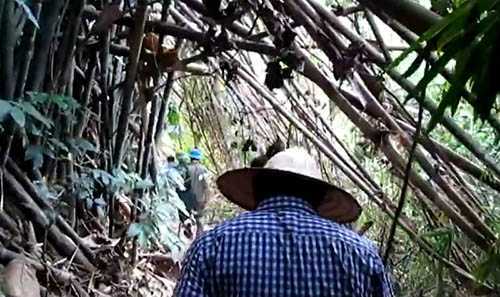 Thảm án 4 người chết ở Nghệ An: Hung thủ vẫn bí ẩn