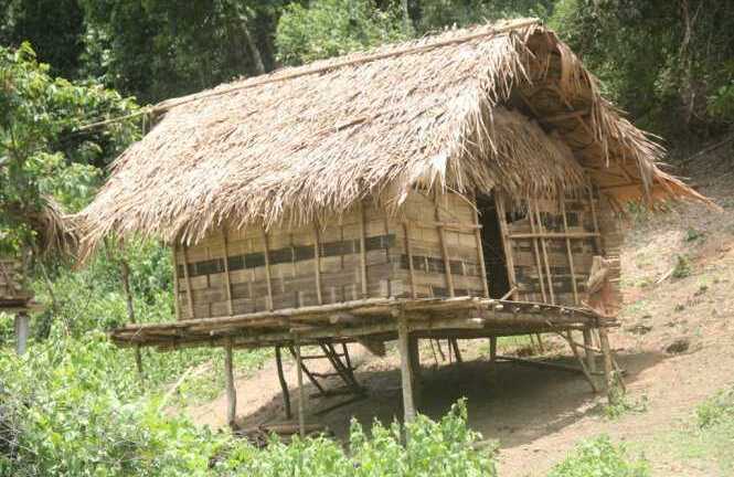 Thảm sát 4 người giữa rừng ở Nghệ An: Bắt 1 nghi phạm