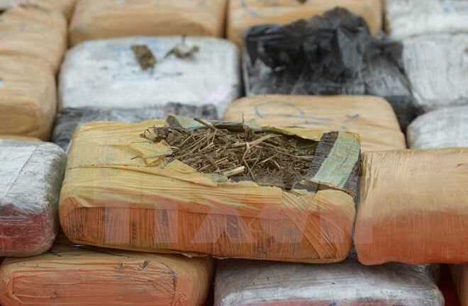 Bắt giữ 13 tấn cần sa giấu trên xe tải