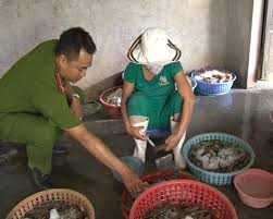 Bắt quả tang bơm tạp chất lạ vào tôm sú chết