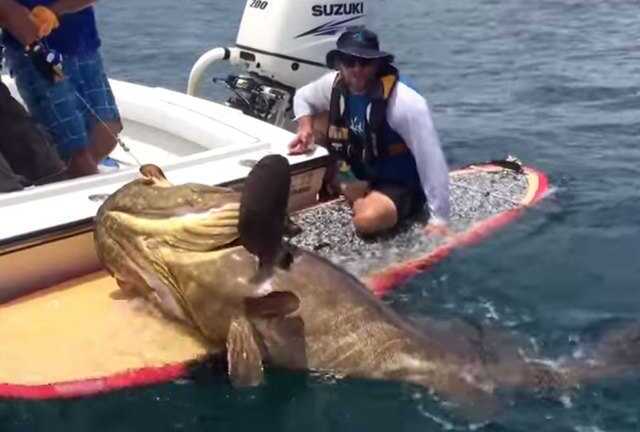 Video: Ngư dân chinh phục ‘thủy quái’ khổng lồ