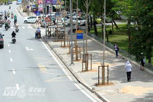 Hà Nội bắt đầu trồng thay thế cây trên đường Nguyễn Chí Thanh