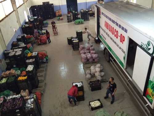 Bên trong hợp tác xã triệu đô