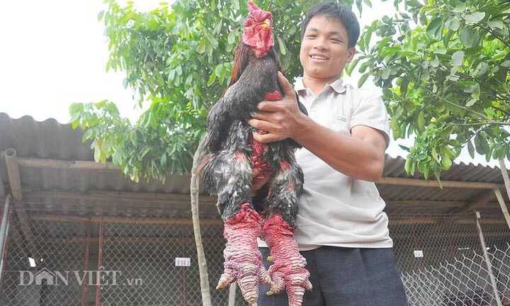 Mảnh đất có 50 tỷ phú 1 xã