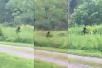 Clip: ‘Quái vật’ Bigfoot trong truyền thuyết lại xuất hiện ở Mỹ?