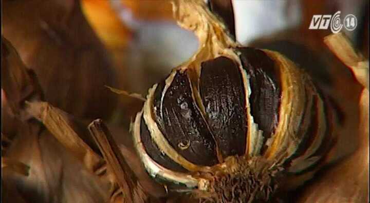 Cơn sốt 'tỏi đen tự làm' liệu có an toàn?