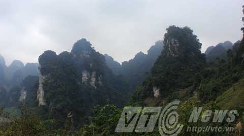 Đi tìm 'con ma' có tiếng hót mê đắm lòng người ở Tuyên Quang