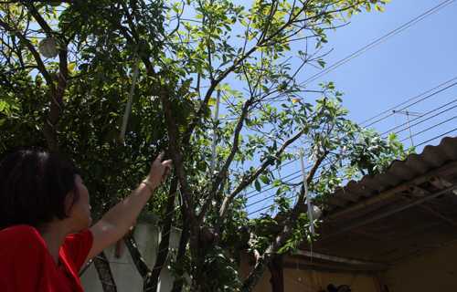 Đường điện cao thế bị đứt, dân tháo chạy khỏi nhà