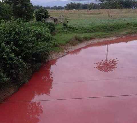 Lộ 'thủ phạm' gây ra dòng suối 'máu' ở Điện Biên